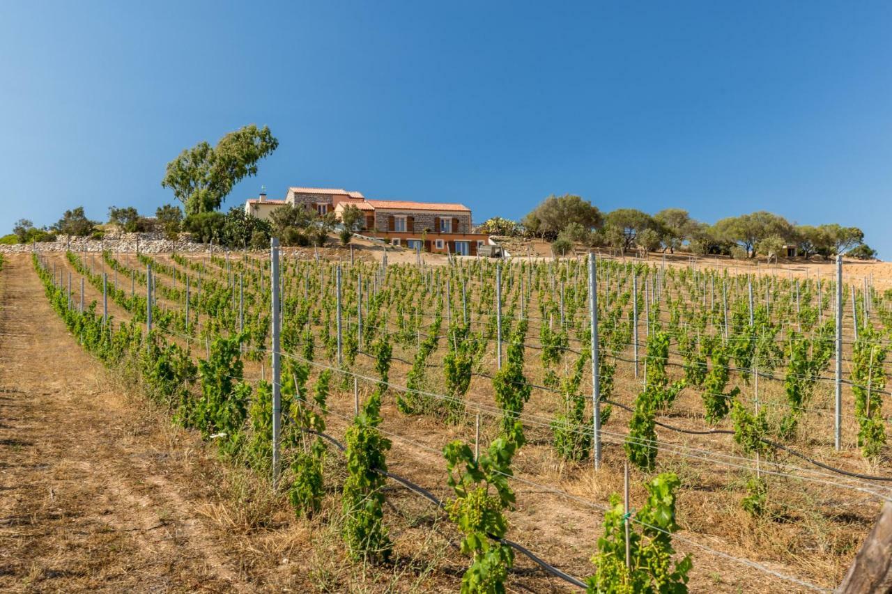 Tenuta Petra Bianca Palau Bagian luar foto